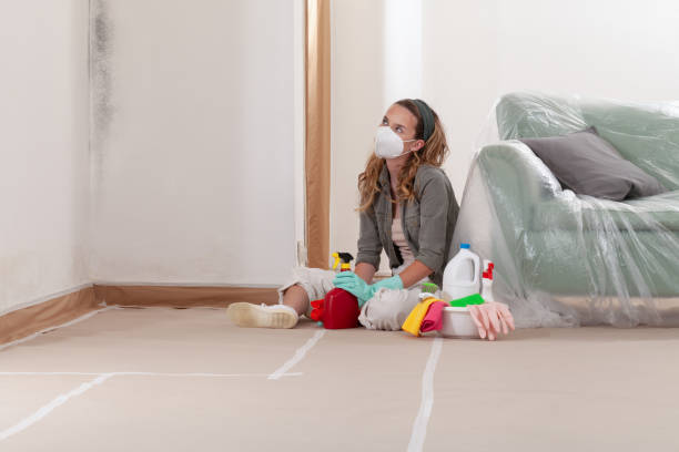 Reliable Mold Inspection contractor in Cross Fork, PA by WQB Mold Removal